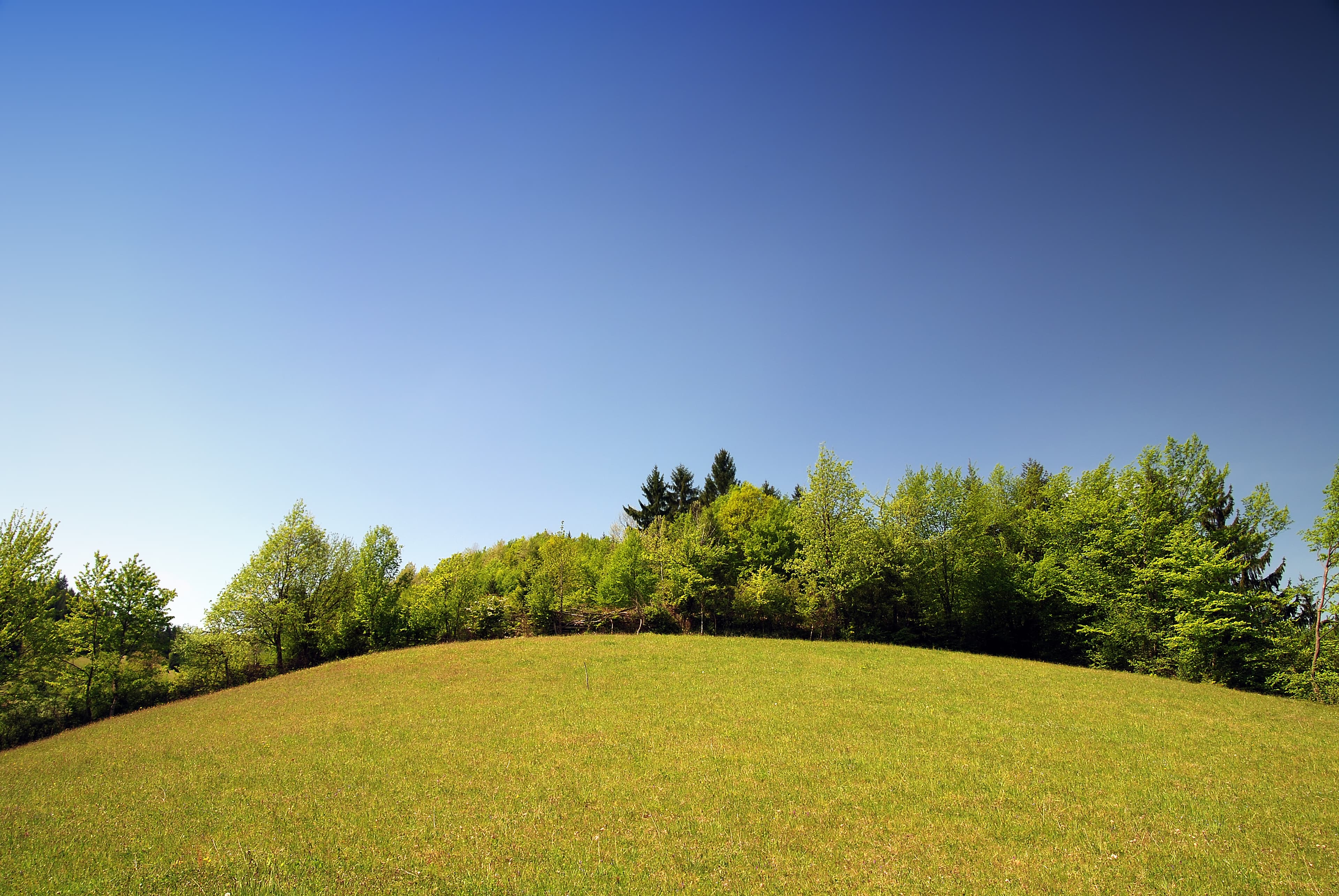Landscape view